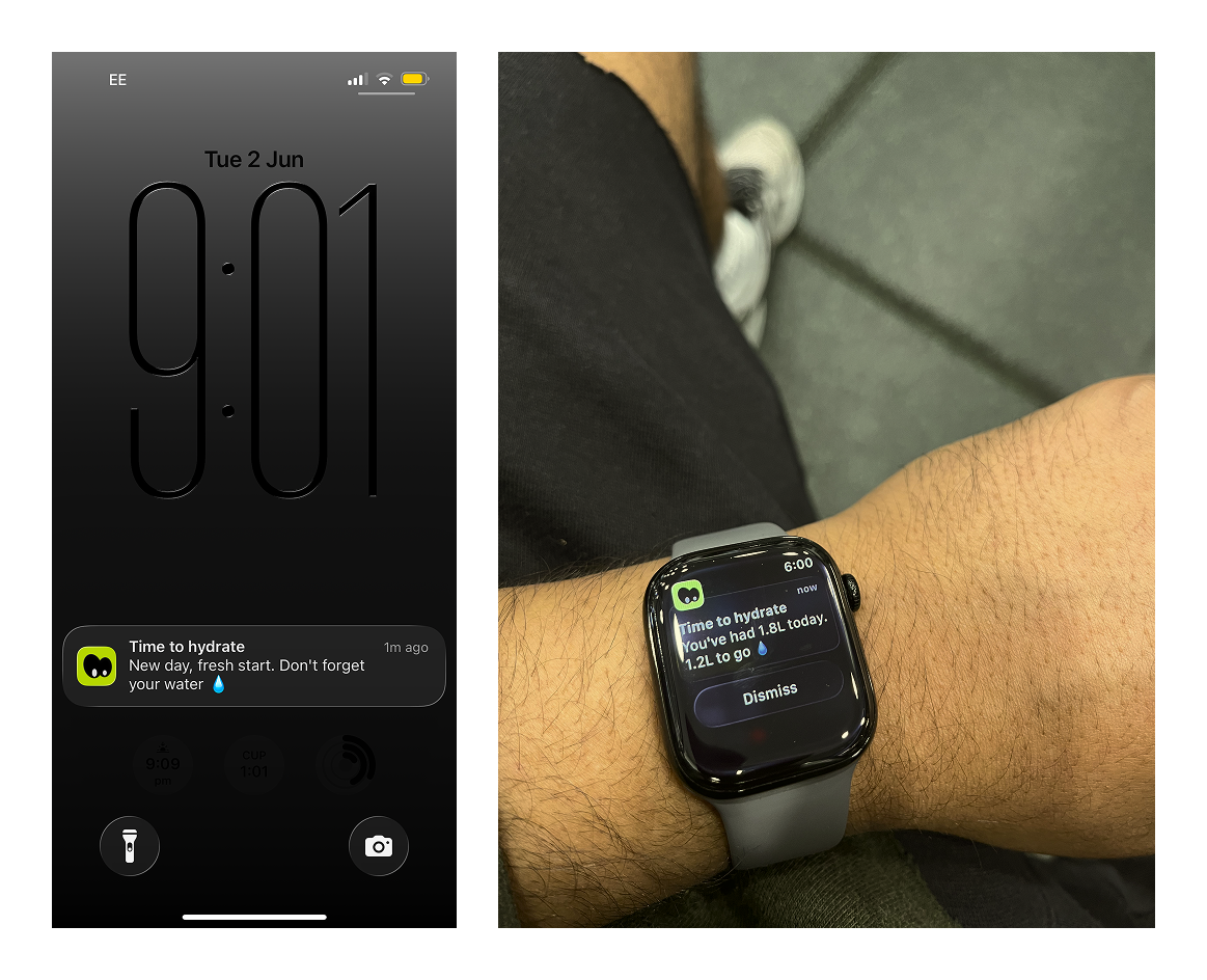GT-3000 hydration notifications on iPhone and Apple Watch